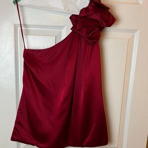 7 For All Mankind Red One-Shoulder Satin Top